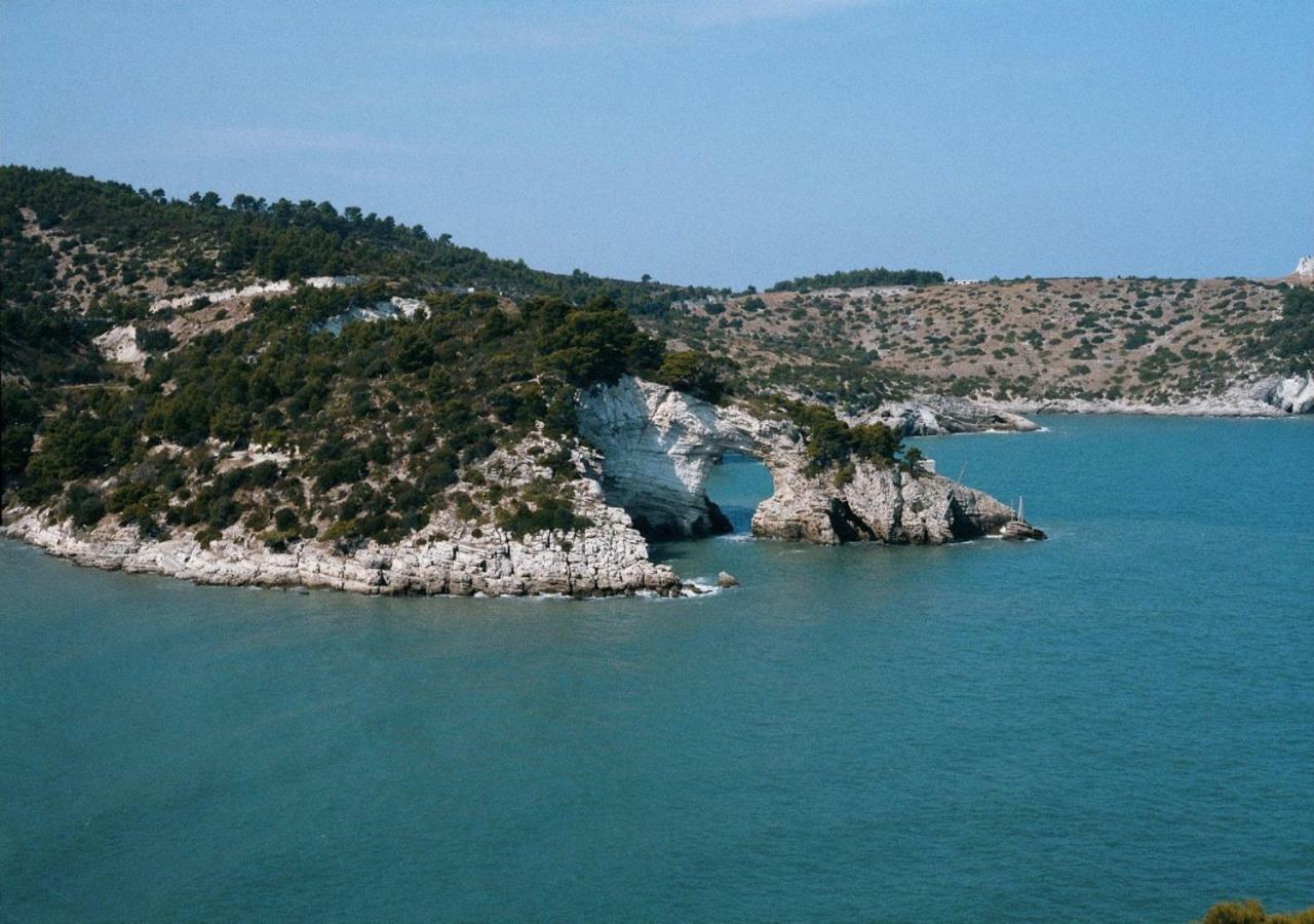 فيستَ Villa Annamaria المظهر الخارجي الصورة